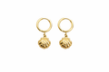 Shell charm hoop earrings 