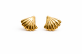 Shell stud earrings