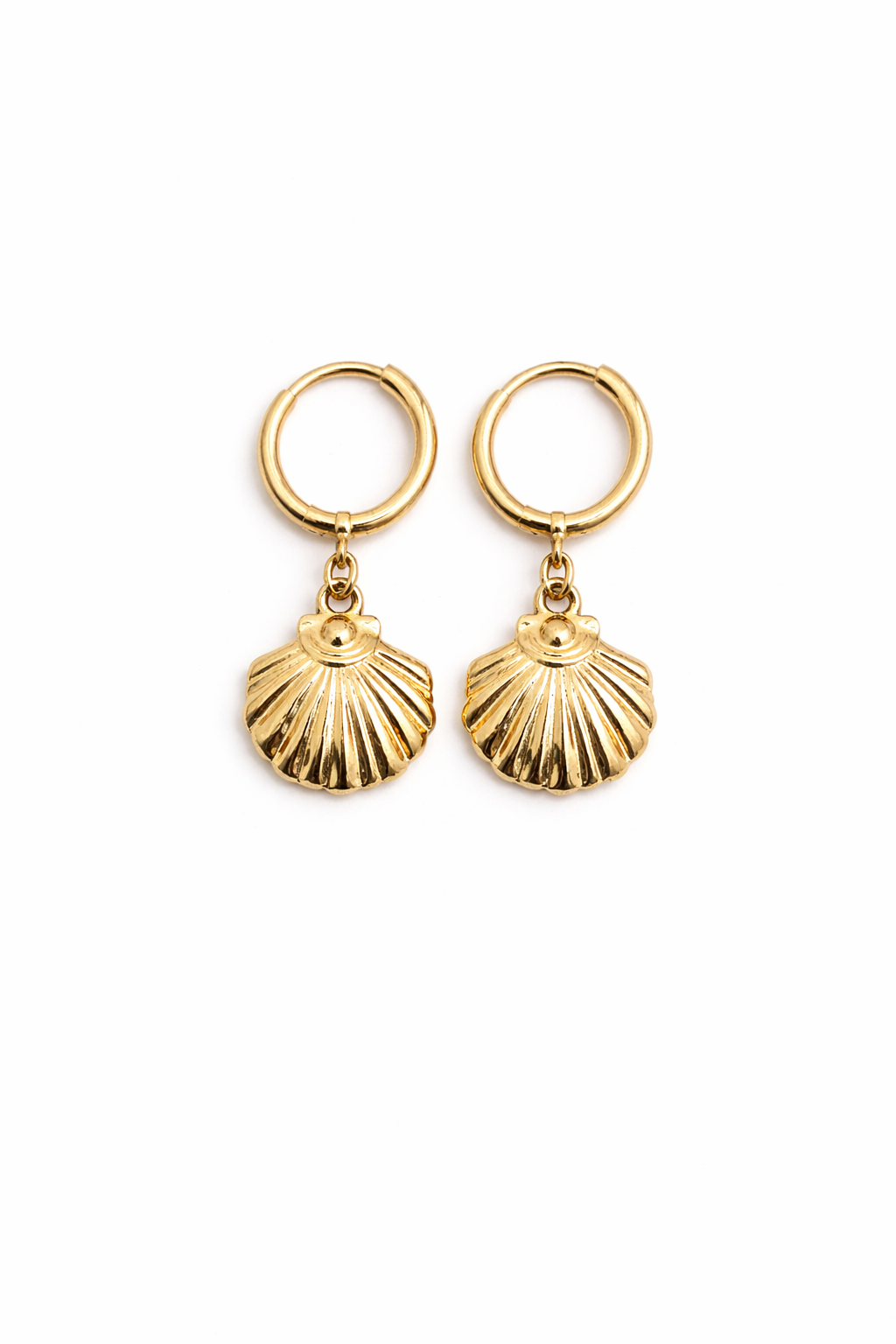 Sea shell earrings on plain 