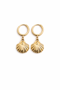 Sea shell earrings on plain 